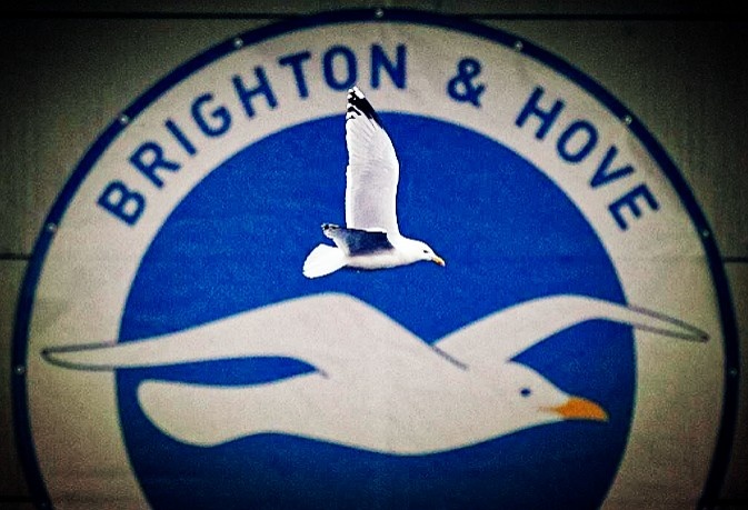 全都是泡沫?英超的未来没那么危险,“第一联赛”构建全新生态! 全都是泡沫?英超的未来没那么危险,“第一联赛”构建全新生态!